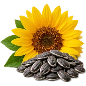 Aceite de girasol