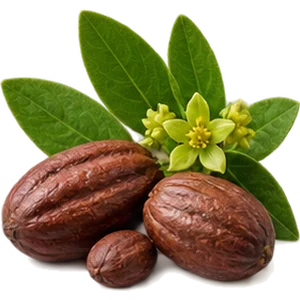 Aceite de jojoba