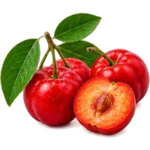 Extracto de acerola