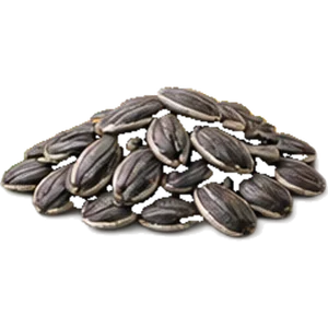 Vitamina E